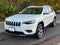 2020 Jeep Cherokee Limited 4x4 4dr SUV