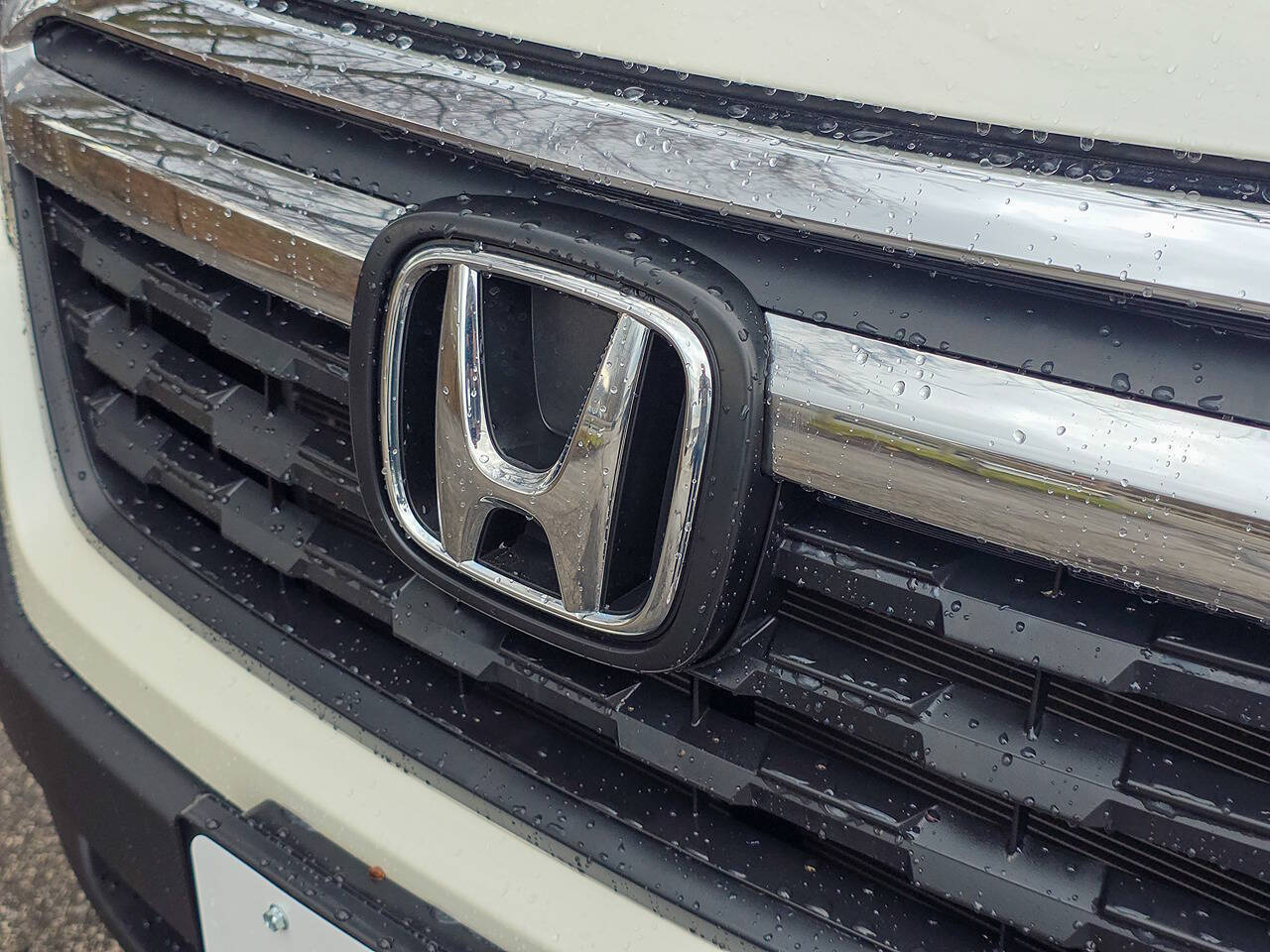 2019 Honda Ridgeline RTL AWD 4dr Crew Cab 5.3 ft. SB