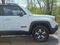 2021 Jeep Renegade Trailhawk 4x4 4dr SUV